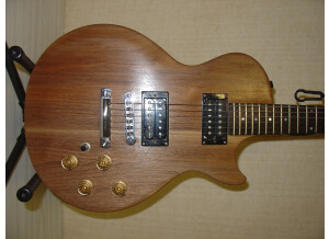 Gibson The Paul (73969)