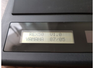 Yamaha REX50