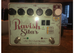 Electro-Harmonix Ravish Sitar (18410)