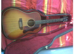 Gibson J45 (21264)