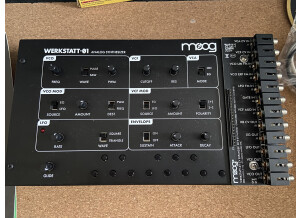 Moog Music Werkstatt-Ø1: Moogfest 2014 Kit (83489)