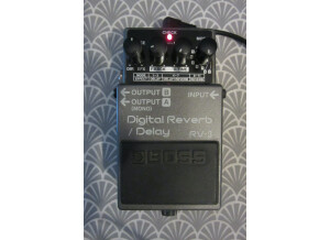 Boss RV-3 Digital Reverb/Delay