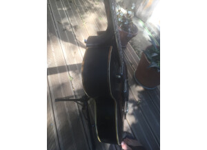Gibson ES-175 D