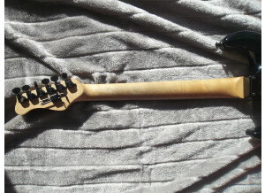 Valley Arts Guitars STANDARD PRO (90393)