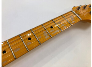 Fender Custom Shop David Gilmour Signature Relic Stratocaster (93578)