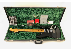 Fender Custom Shop David Gilmour Signature Relic Stratocaster (92542)