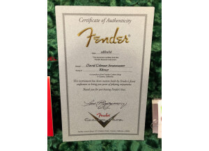Fender Custom Shop David Gilmour Signature Relic Stratocaster (60979)