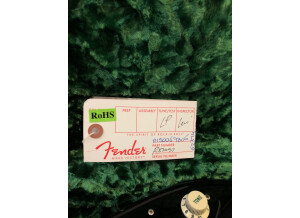 Fender Custom Shop David Gilmour Signature Relic Stratocaster (50684)