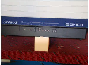 Roland EG-101 (14450)