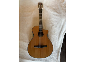 Taylor NS32ce (81567)