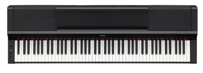 P-S500 P-S500
