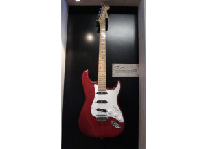 Valley & Blues Stratocaster (11778)