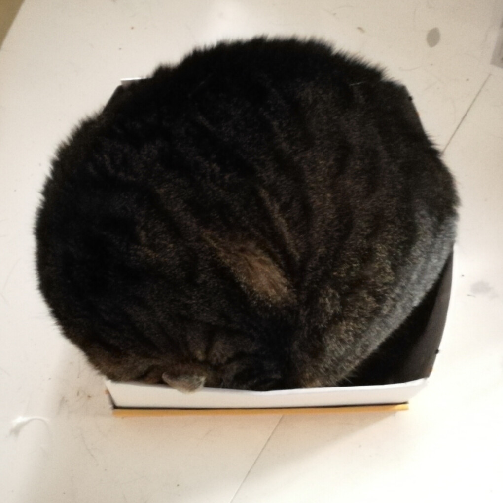 4961506.jpg 4961506.jpg