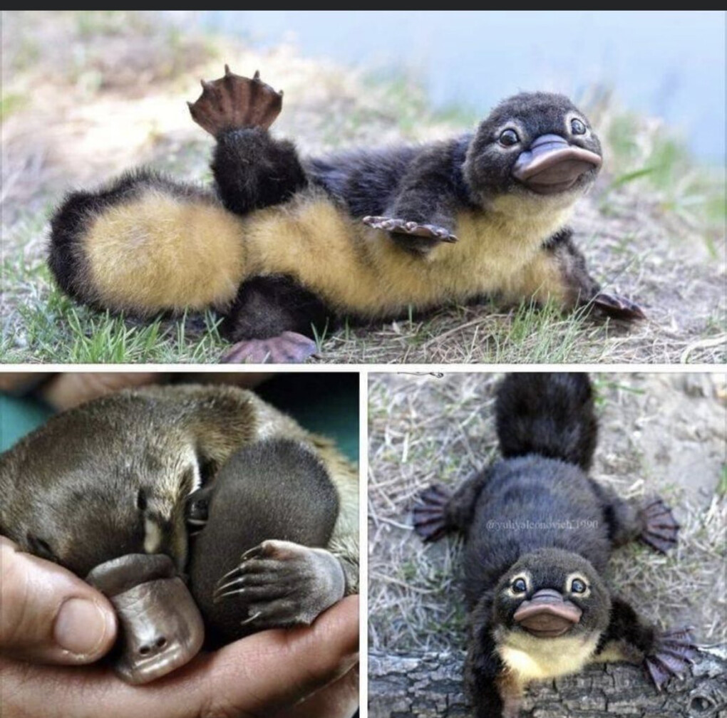 4962283.jpg 4962283.jpg