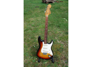 Fender Stratocaster [1965-1984] (75215)