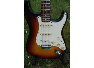 Fender Stratocaster [1965-1984] (14169)