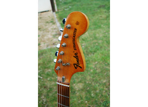 Fender Stratocaster [1965-1984] (24736)