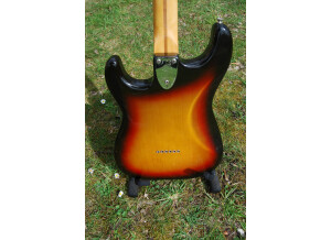 Fender Stratocaster [1965-1984] (18606)