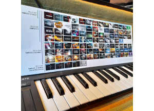 Native Instruments Komplete 12 (16719)