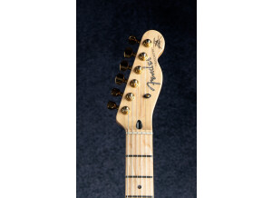 Fender Richie Kotzen Telecaster [2013-Current] (52138)