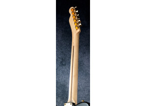 Fender Richie Kotzen Telecaster [2013-Current] (35010)