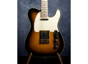 Fender Richie Kotzen Telecaster [2013-Current] (99786)