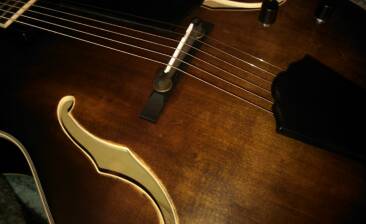 Washburn J600