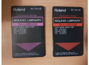 Roland SN-U110-06 : Orchestral Winds
