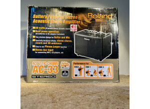 Roland AC-33 (27537)