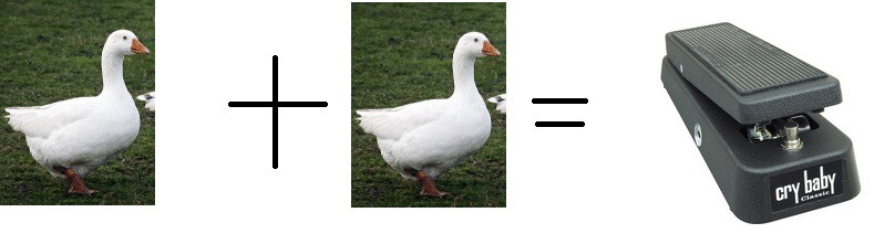 4981438.jpg 4981438.jpg