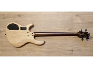 307755017 10160012793429246 6626804965742205977 n