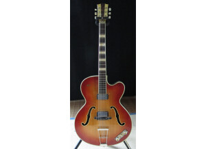 Hofner Guitars 457 (81340)