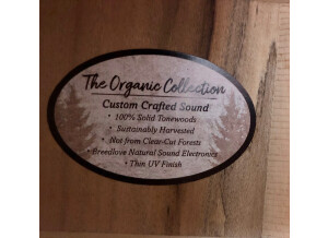 Breedlove Artista Concert Natural Shadow CE (10880)