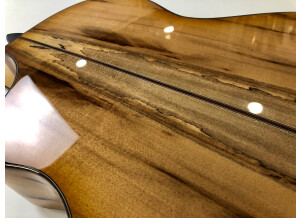 Breedlove Artista Concert Natural Shadow CE (17570)