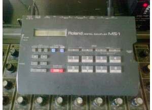 Roland MS-1 (4493)