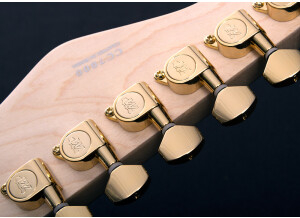 Michael Kelly Guitars Custom Collection CC60 Burl Burst guitare électrique Epic Eleven Mod (47909)