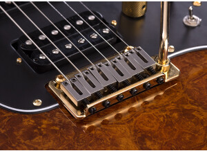 Michael Kelly Guitars Custom Collection CC60 Burl Burst guitare électrique Epic Eleven Mod (88107)