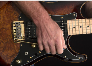 Michael Kelly Guitars Custom Collection CC60 Burl Burst guitare électrique Epic Eleven Mod (61271)
