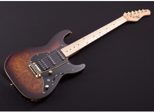 Michael Kelly Guitars Custom Collection CC60 Burl Burst guitare électrique Epic Eleven Mod (67272)
