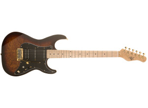 Michael Kelly Guitars Custom Collection CC60 Burl Burst guitare électrique Epic Eleven Mod (63508)