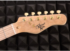 Michael Kelly Guitars Custom Collection CC60 Burl Burst guitare électrique Epic Eleven Mod (43872)