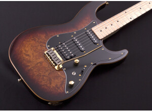 Michael Kelly Guitars Custom Collection CC60 Burl Burst guitare électrique Epic Eleven Mod (59028)