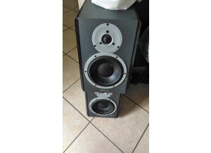 Dynaudio DBM50 (70191)