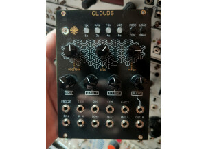 Mutable Instruments Clouds (8832)