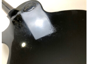 Gibson Les Paul Special (79024)