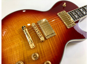 Gibson Les Paul Supreme (97108)