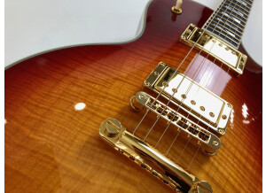 Gibson Les Paul Supreme (45554)