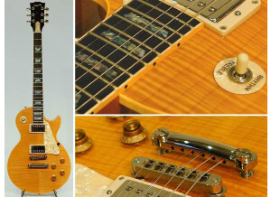 Gibson Custom Shop - Les Paul Elegant (7882)