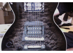Gibson Custom Shop - Les Paul Elegant (98342)