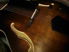 Washburn J600